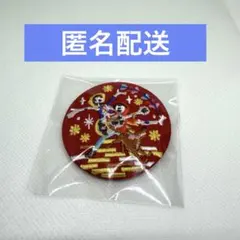 ディズニー刺繍缶バッジ2 リメンバーミー
