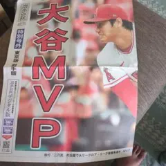 非売品　美品　大谷翔平　岩手日報　号外　ロサンゼルスエンゼルス