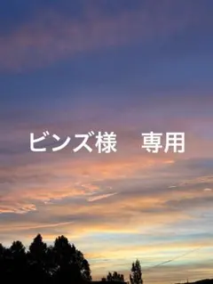 ピンズ様　専用のサムネイル