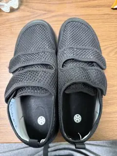 Item thumbnail for item 518d227e-a9b5-46e6-aa83-288729130c41