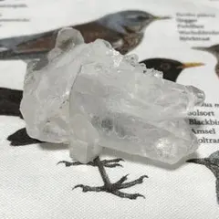 高品質 ヒマラヤ水晶 クラスター n1