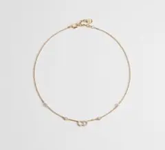 CLAIR D LUNE DIOR ディオール ネックレス　Dior ゴールド