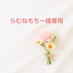 【らむねもち〜様】 リクエスト 2点 アニマル顔パーツ2、かき氷の素1個