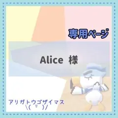 Alice様 リクエスト 2点 まとめ商品