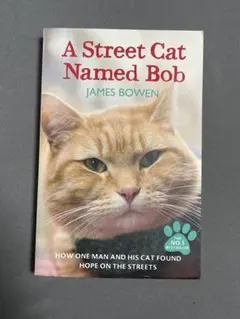 A Street Cat Named Bob