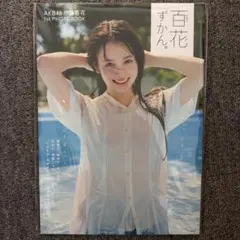 Item thumbnail for item 8c644e0a-b9df-446e-9489-17da3457269d