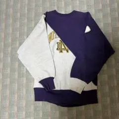 Champion リバースウィーブ クレイジーパターン スウェット