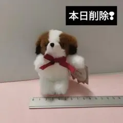 本日削除●ビーグル犬　ぬいぐるみ　マスコット