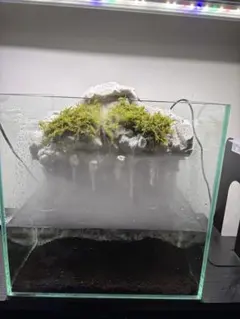 あおい様　専用ページ