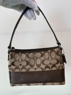 Item thumbnail for item 72f9e80a-4da2-414a-8eec-748bfcf76411