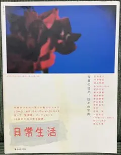 日常生活　写真の日々、日々の写真　LOMO HOLGA 写真集 日本カメラ