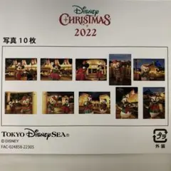 【匿名配送】ディズニー クリスマス 2022 写真 ディズニーシー