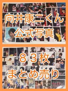 2026年最新】向井康二 公式写真の人気アイテム - メルカリ