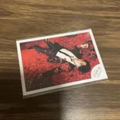 宮舘涼太　SnowMan HOLIDAY greeting ミニフォトステッカー