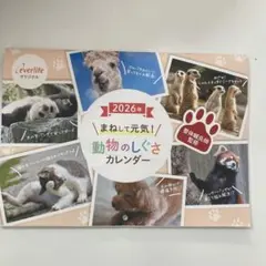 Item thumbnail for item ae5a6ec4-9f3f-4690-8ff1-a440eddc0e34