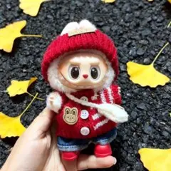 人気商品✨ラブブ服　labubu ぬいぐるみ着　可愛い　着せ替え服　5点セット