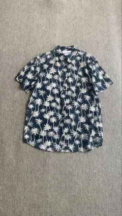 Item thumbnail for item 39cbe481-e9f6-40d5-8755-b145c30e8f72