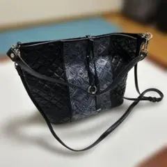 Item thumbnail for item be92d45b-1b3d-480c-8c46-33b366210b90