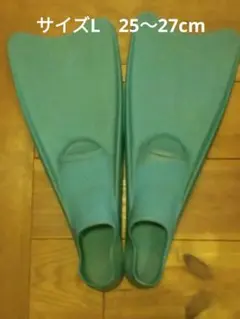 Item thumbnail for item 44fe381a-0cdd-42bb-a5a5-e3df749bd71a