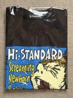 ハイスタ ミュージシャン