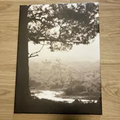 美品　IKEAイケア PJATTERYD プィエッテリード　アート自然の中⑤