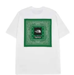 Supreme The North Face Bandana Tee Tシャツ