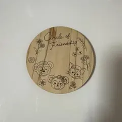 東京ディズニーシー Duffy and Friends コースター