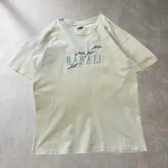 90s アメリカ製 usa製 THE BIG ISLAND イルカ 刺繍