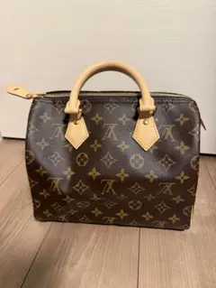 Louis Vuitton スピーデ25 モノグラム ハンドバッグのサムネイル