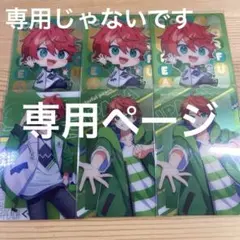 専用ページ ゆう様専用