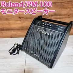 Roland ローランド PM-100 V-Drums モニターアンプ - メルカリ