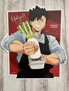 2025年最新】ハイキュー黒尾鉄朗クリアカードの人気アイテム - メルカリ