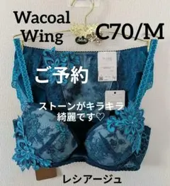 2025年最新】wacoal サルート c70の人気アイテム - メルカリ