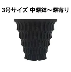 Mr.ZARA ZARA size S アガベ チタノタ 多肉植物 鉢 おしゃれ - メルカリ