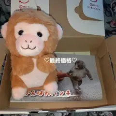 パンチくん　ハッピーズー CUTE ぬいぐるみ 　市川市動植物園　未使用保管品のサムネイル