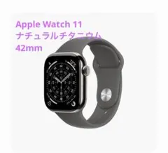 Apple Watch 11 ナチュラルチタニウム 42mm ほぼ未使用