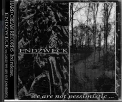 帯付き 美品 ENDZWECK we are not pessimistic