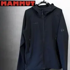 MAMMUT Runbold ML Hoody Men