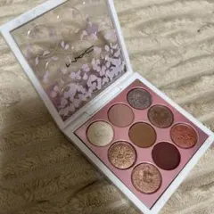 Item thumbnail for item 13a4bcab-9129-4154-b9c2-35c04b38e739