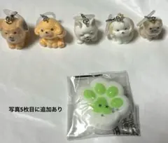 フロッキー　めじるしアクセサリー　犬　猫　スクイーズ　肉球のサムネイル
