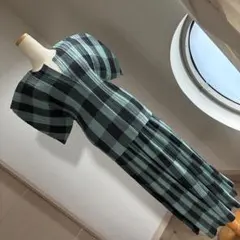 未使用◇希少4サイズ イッセイミヤケ テリージョンソン コラボ