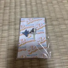 아라시 아라시 라이브 투어 Popcorn 이어폰 잭