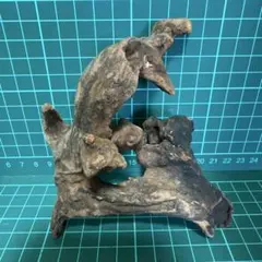 小流木 水槽用流木 アクアリウム　k534