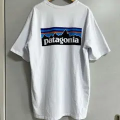 ✨美品✨Patagonia Tシャツ メンズL