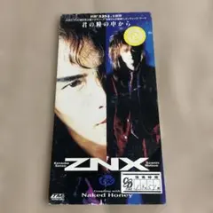 ZNX 君の瞳の中から 8cmシングル CD