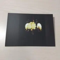 SEVENTEEN セブチ ジョンハン director'scut ポストカード