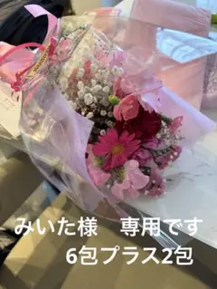 みいた様専用ページ