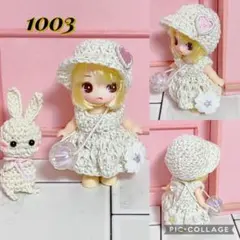 1003