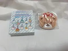 サンリオ　シークレットラバーミラーキーホルダー　タイニーチャム　匿名