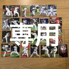 ST様専用プロ野球チップス　カード